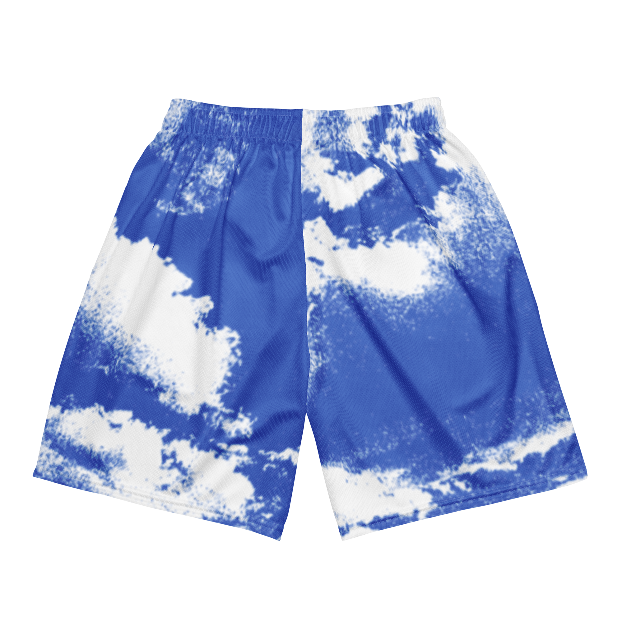 CLOUDED VISION MESH SHORTS